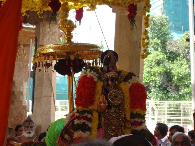 Srirangam Namperumal Irrapathu Utsavam day 3  2014-21