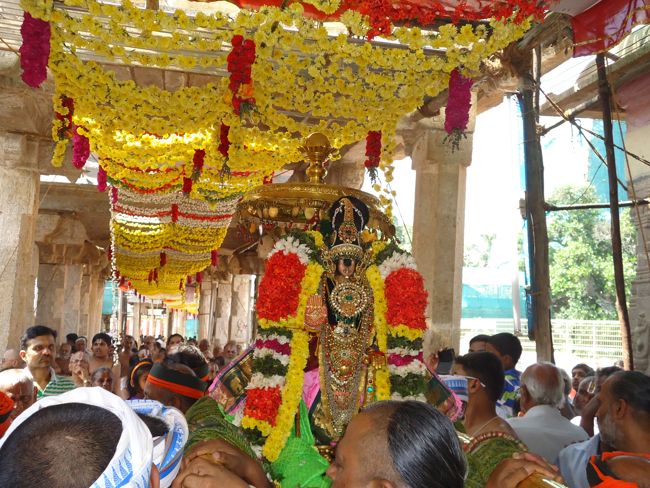 Srirangam Namperumal Irrapathu Utsavam day 3  2014-22