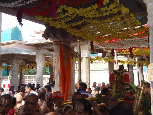Srirangam Namperumal Irrapathu Utsavam day 3  2014-24