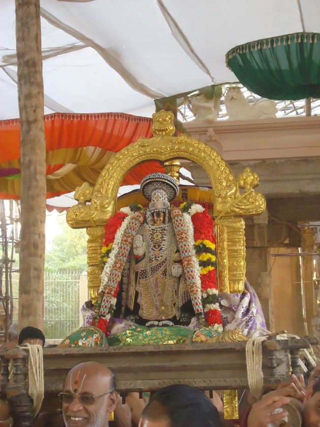 Srirangam Namperumal Muthangi Sevai on Kanu Utsavam -2015-00