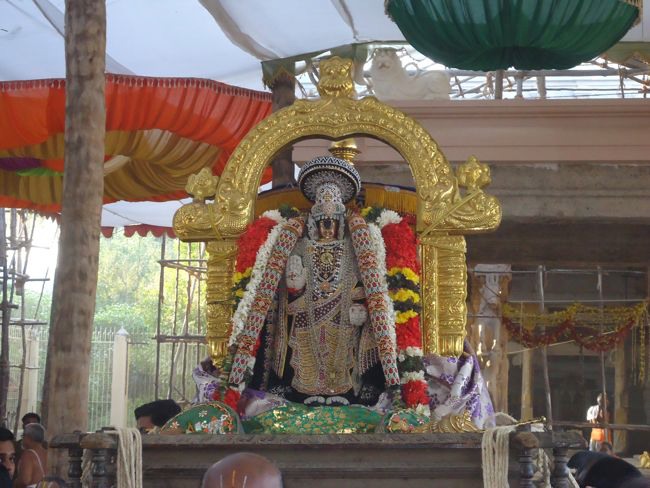 Srirangam Namperumal Muthangi Sevai on Kanu Utsavam -2015-02