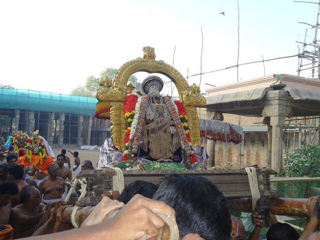 Srirangam Namperumal Muthangi Sevai on Kanu Utsavam -2015-06