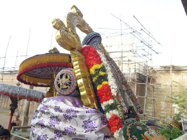 Srirangam Namperumal Muthangi Sevai on Kanu Utsavam -2015-07