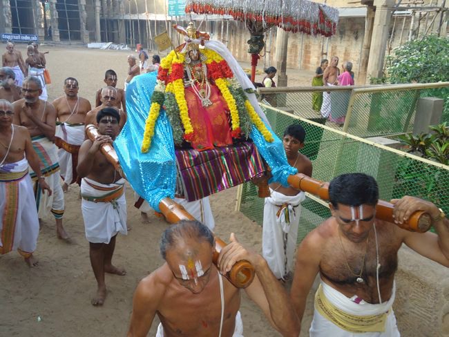 Srirangam Namperumal Muthangi Sevai on Kanu Utsavam -2015-10