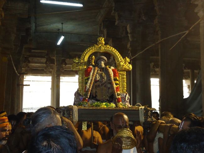 Srirangam Namperumal Muthangi Sevai on Kanu Utsavam -2015-16
