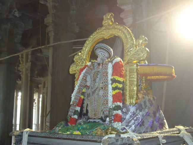 Srirangam Namperumal Muthangi Sevai on Kanu Utsavam -2015-22