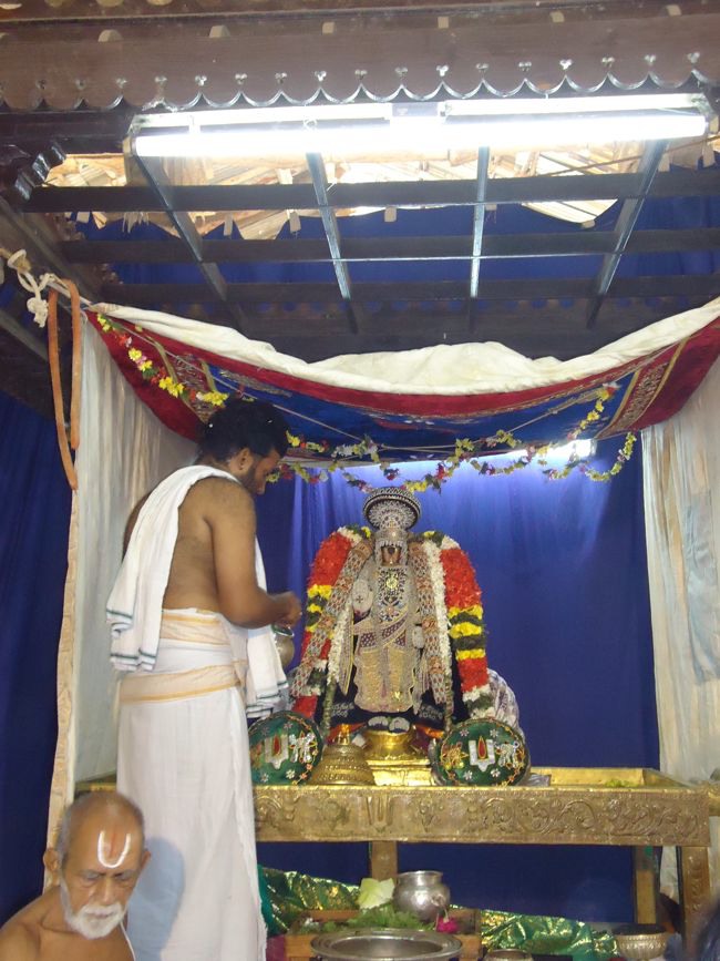 Srirangam Namperumal Muthangi Sevai on Kanu Utsavam -2015-31