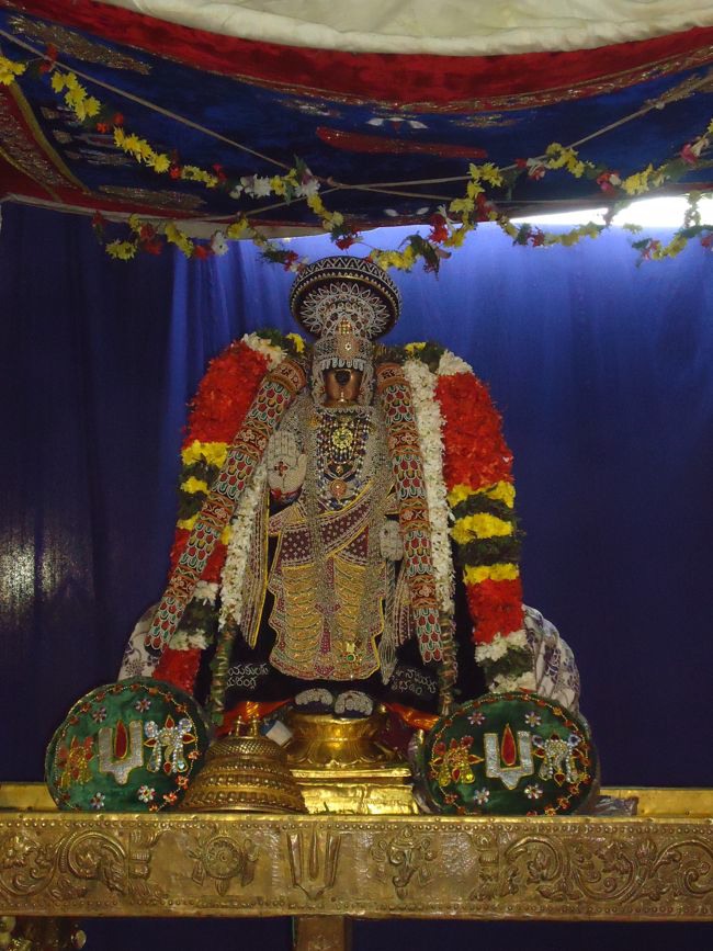 Srirangam Namperumal Muthangi Sevai on Kanu Utsavam -2015-32