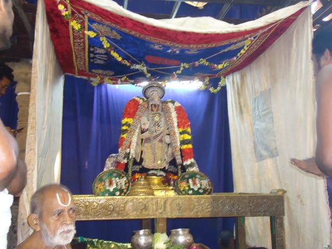 Srirangam Namperumal Muthangi Sevai on Kanu Utsavam -2015-34