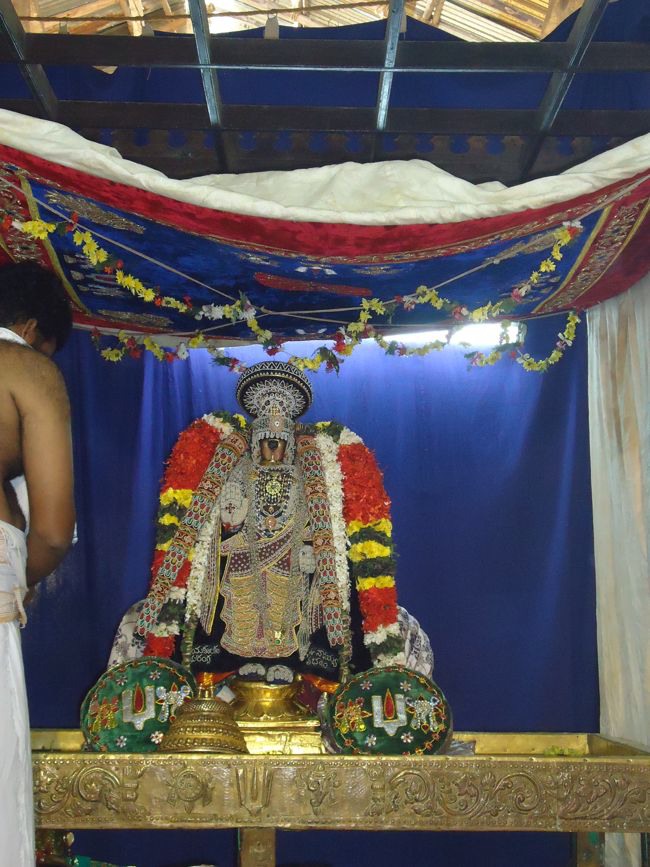 Srirangam Namperumal Muthangi Sevai on Kanu Utsavam -2015-37