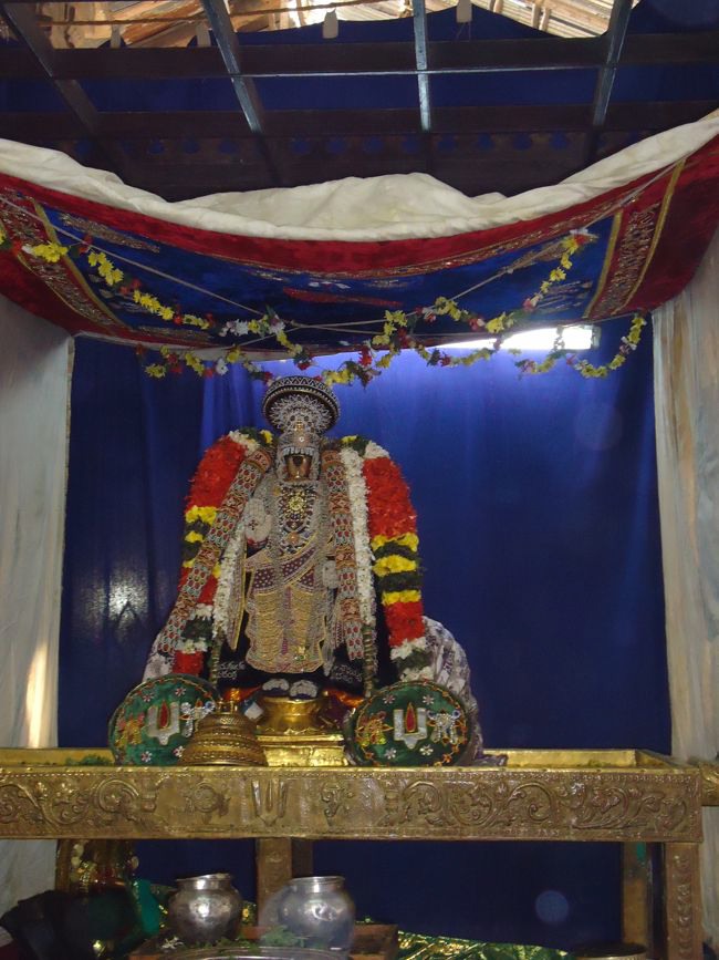 Srirangam Namperumal Muthangi Sevai on Kanu Utsavam -2015-39