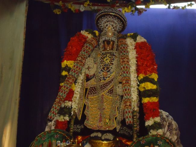 Srirangam Namperumal Muthangi Sevai on Kanu Utsavam -2015-41