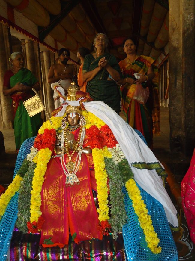 Srirangam Namperumal Muthangi Sevai on Kanu Utsavam -2015-46