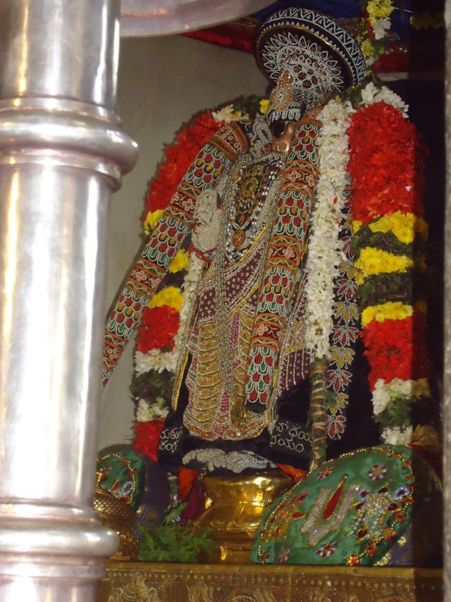 Srirangam Namperumal Muthangi Sevai on Kanu Utsavam -2015-47