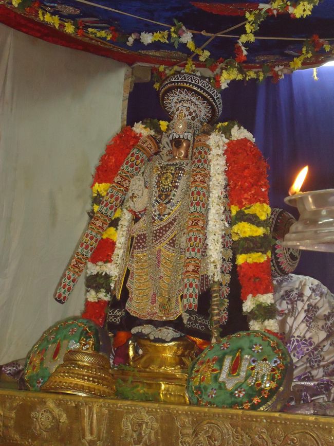 Srirangam Namperumal Muthangi Sevai on Kanu Utsavam -2015-52