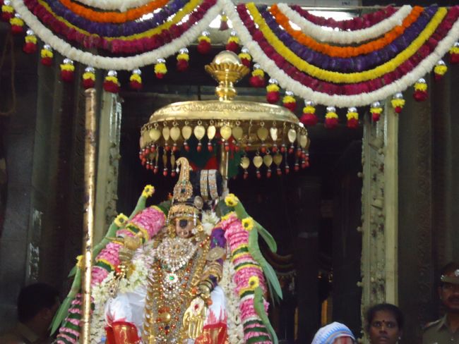 Srirangam Namperumal Pagal Pathu Nachiyar Thirukolam-2014-06