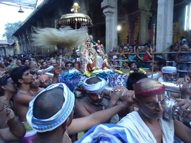 Srirangam Namperumal Pagal Pathu Nachiyar Thirukolam-2014-07