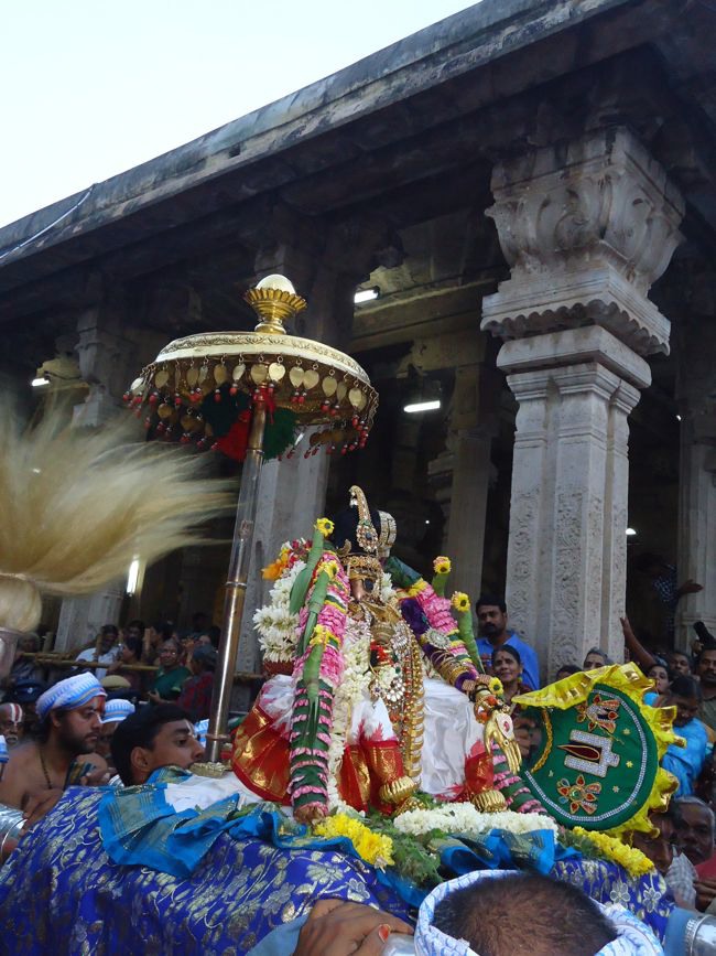 Srirangam Namperumal Pagal Pathu Nachiyar Thirukolam-2014-10