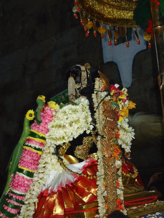 Srirangam Namperumal Pagal Pathu Nachiyar Thirukolam-2014-12