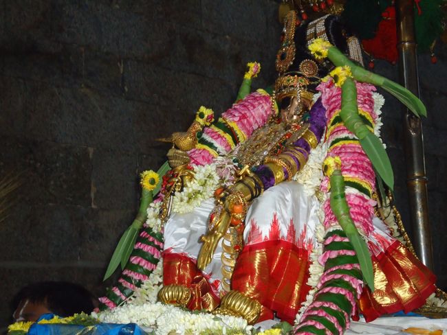 Srirangam Namperumal Pagal Pathu Nachiyar Thirukolam-2014-14
