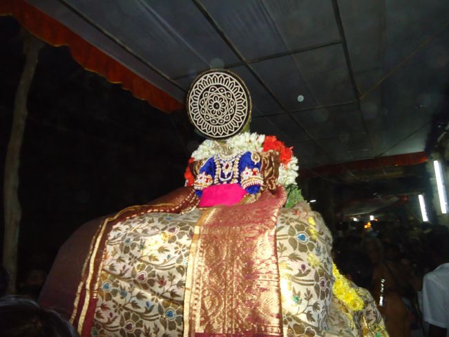 Srirangam Namperumal Pagal Pathu Nachiyar Thirukolam-2014-27