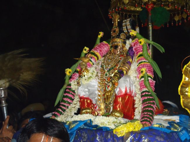 Srirangam Namperumal Pagal Pathu Nachiyar Thirukolam-2014-30