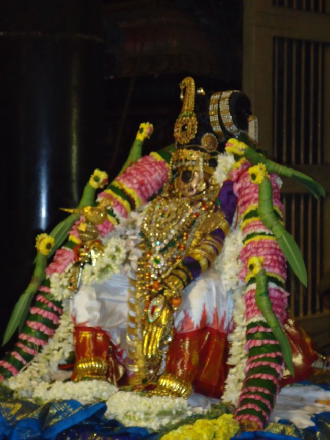 Srirangam Namperumal Pagal Pathu Nachiyar Thirukolam-2014-47