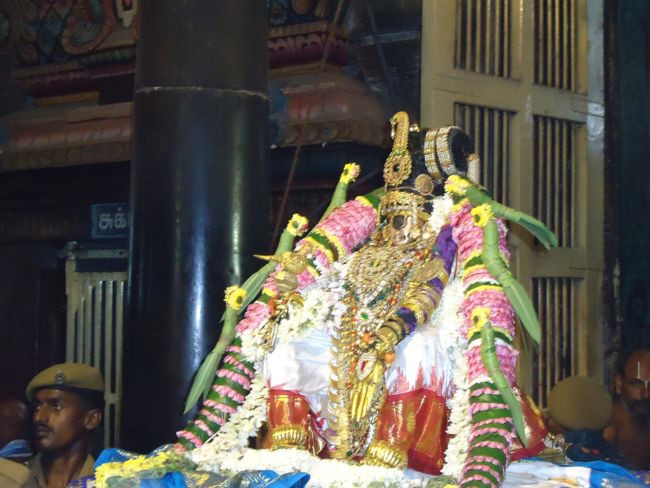 Srirangam Namperumal Pagal Pathu Nachiyar Thirukolam-2014-48