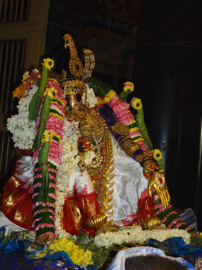 Srirangam Namperumal Pagal Pathu Nachiyar Thirukolam-2014-50