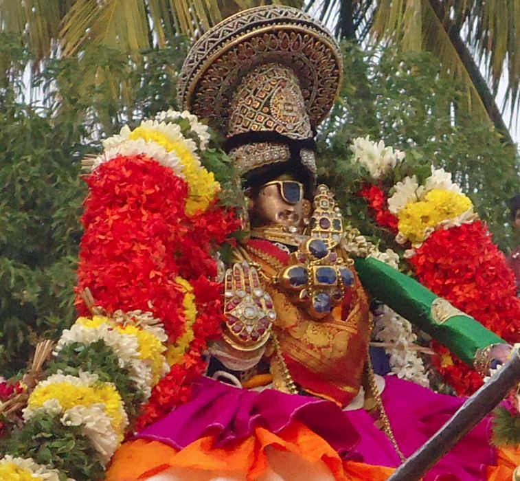 Srirangam Namperumal Vedupari 2014-3