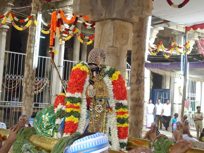 Srirangam Ranganathaswami Temple Irappathu Utsavam day 9 2014-02