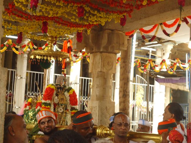 Srirangam Ranganathaswami Temple Irappathu Utsavam day 9 2014-09