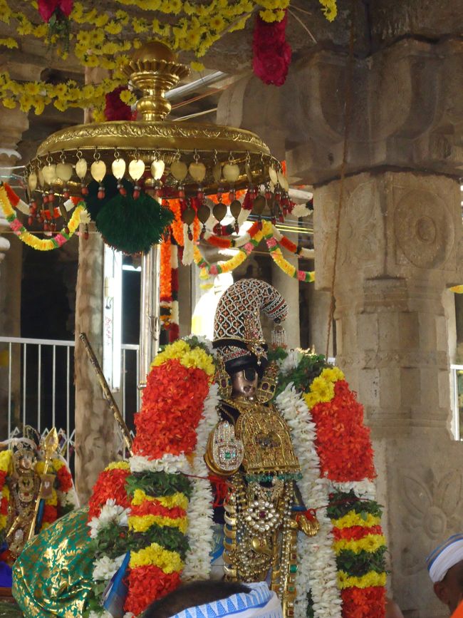 Srirangam Ranganathaswami Temple Irappathu Utsavam day 9 2014-11