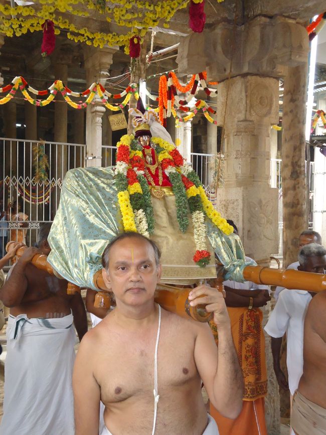 Srirangam Ranganathaswami Temple Irappathu Utsavam day 9 2014-13