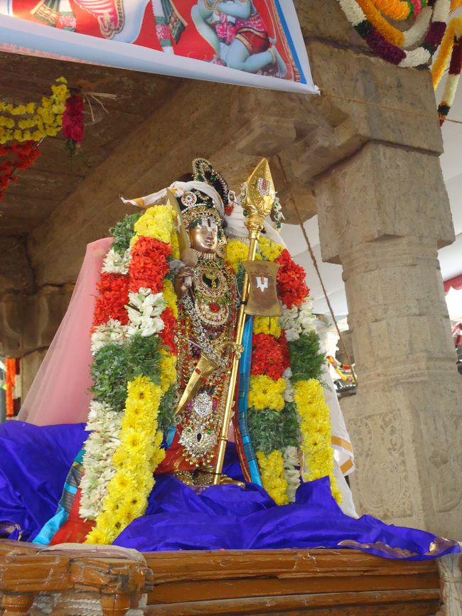 Srirangam Ranganathaswami Temple Irappathu Utsavam day 9 2014-14