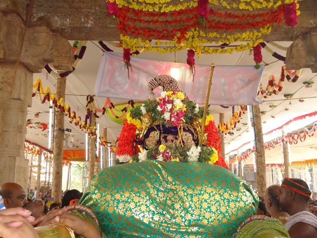 Srirangam Ranganathaswami Temple Irappathu Utsavam day 9 2014-15