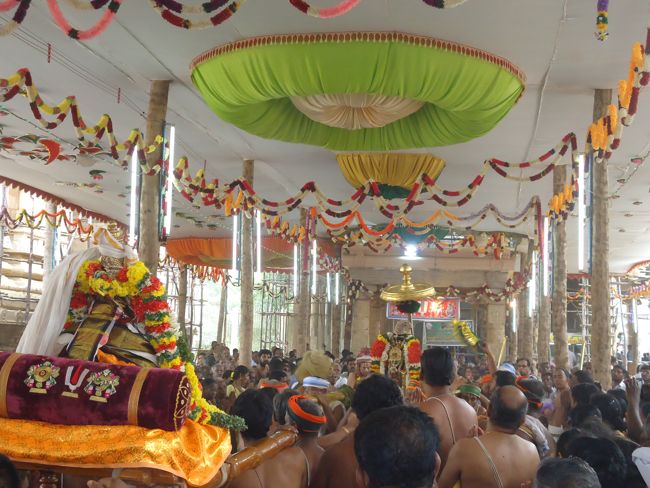 Srirangam Ranganathaswami Temple Irappathu Utsavam day 9 2014-17