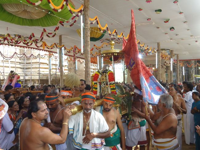 Srirangam Ranganathaswami Temple Irappathu Utsavam day 9 2014-18