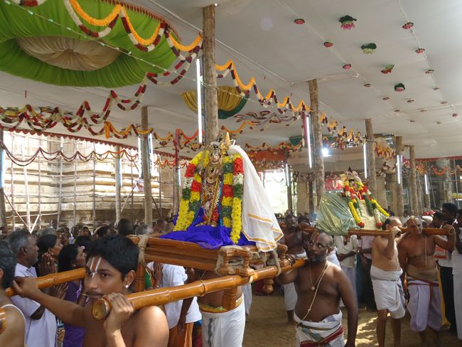 Srirangam Ranganathaswami Temple Irappathu Utsavam day 9 2014-20