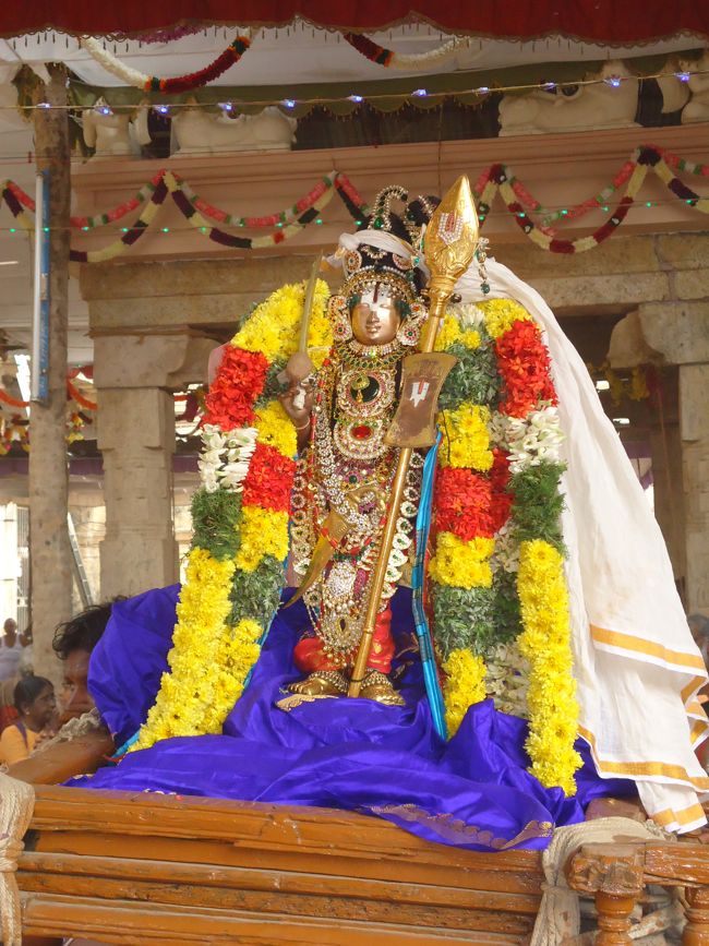 Srirangam Ranganathaswami Temple Irappathu Utsavam day 9 2014-21