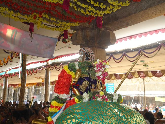 Srirangam Ranganathaswami Temple Irappathu Utsavam day 9 2014-22