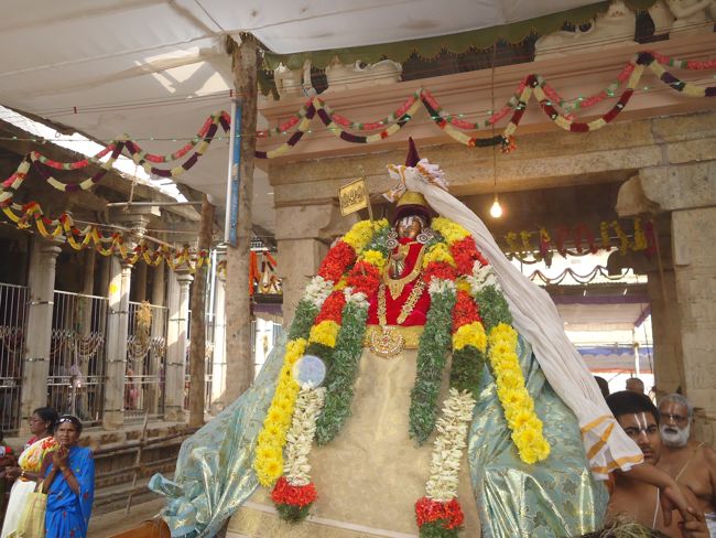 Srirangam Ranganathaswami Temple Irappathu Utsavam day 9 2014-24
