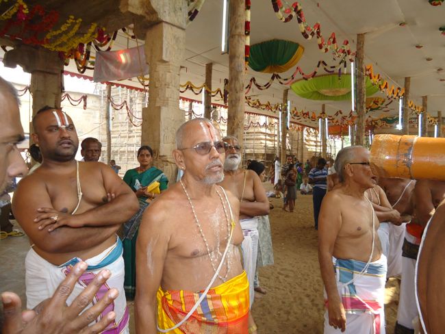 Srirangam Ranganathaswami Temple Irappathu Utsavam day 9 2014-26
