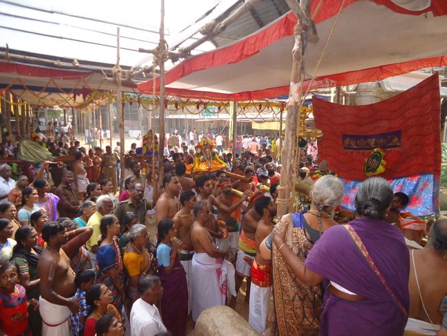 Srirangam Ranganathaswami Temple Irappathu Utsavam day 9 2014-28