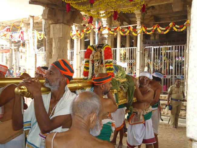 Srirangam Ranganathaswami Temple Irappathu Utsavam day 9 2014-30