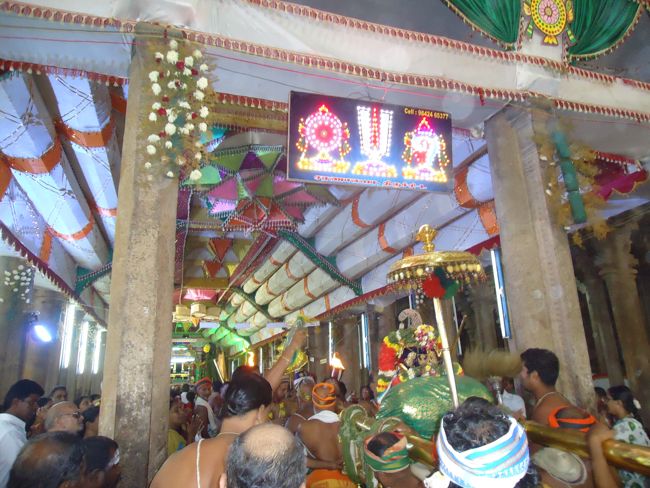 Srirangam Ranganathaswami Temple Irappathu Utsavam day 9 2014-31