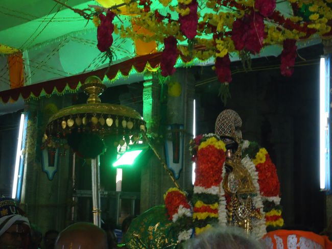 Srirangam Ranganathaswami Temple Irappathu Utsavam day 9 2014-32