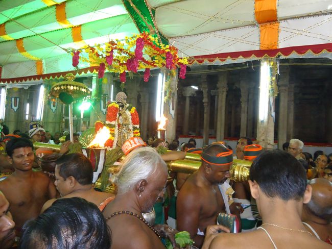 Srirangam Ranganathaswami Temple Irappathu Utsavam day 9 2014-33