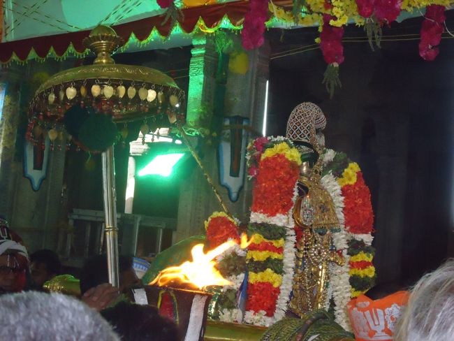 Srirangam Ranganathaswami Temple Irappathu Utsavam day 9 2014-34