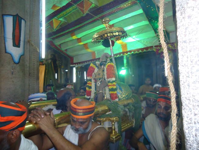 Srirangam Ranganathaswami Temple Irappathu Utsavam day 9 2014-37